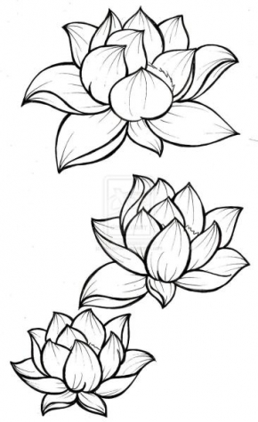 Lotus Hostel